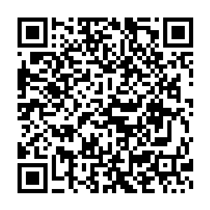 但能够从本质上提升身体素质的血兰花却是他们此行志在必得的宝贝二维码生成