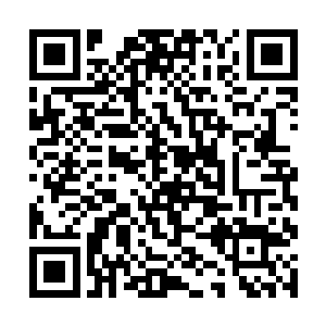 但自己此刻在海里游泳潜水的本事肯定没有海蛇厉害二维码生成
