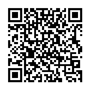 但自己的大孙子为什么无缘无故的就把这个给提及了出来二维码生成