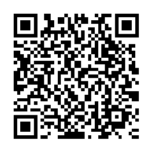 但苏叶现在的举动封分明是硬生生的将人肉塞到了蓝天的口中二维码生成