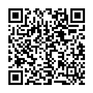 但虚空猎手终究是在宇宙海中央繁衍生息亿万年的初级智慧生命二维码生成