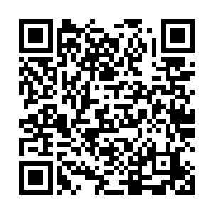 但谢家的长老们也能猜测到他们在等待以及议论着什么二维码生成