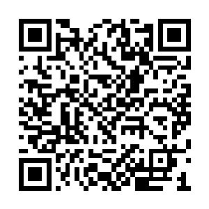 但貌似面前的这位根本就没有给自己任何的面子二维码生成