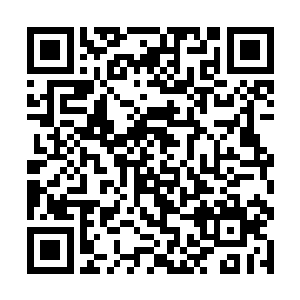 但费尔南多并没有从他的公司那得到什么有用的帮助二维码生成