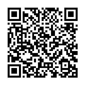 但费尔南多指控大副约翰和海盗勾结也没有什么意义二维码生成
