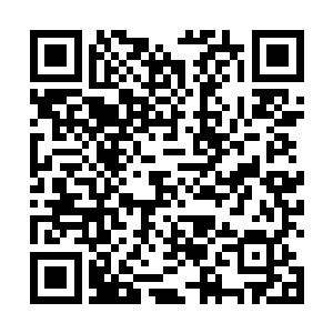 但这一幕看在国主们眼中却在他们心中掀起了惊涛骇浪二维码生成