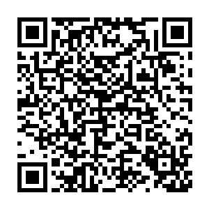 但这些一比一真实还原的机甲卫士还是可以进行简单动作的程序设定二维码生成
