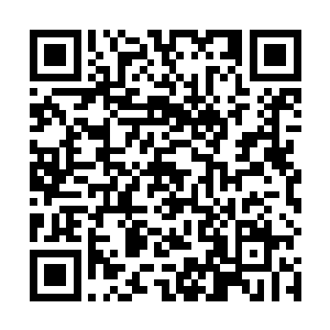 但这些天才最终所取得的成就和他们的天赋都不成正比二维码生成