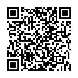 但这微弱的光明很快又在汹涌澎湃的黑潮侵蚀下消散殆尽二维码生成