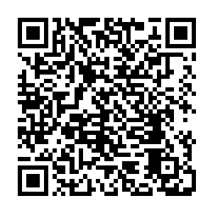 但这片山脉中的数万头已经开启灵智的妖兽如今全部集中在了一座大山谷中二维码生成