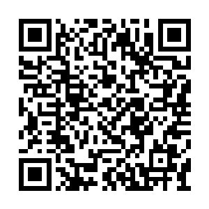 但这还没让海师兄和言师兄消化完这里面的消息二维码生成