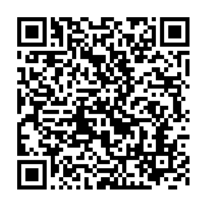 但那一块块骨头被重新复位时的疼痛还是让杨慧娥冒了一头的冷汗二维码生成