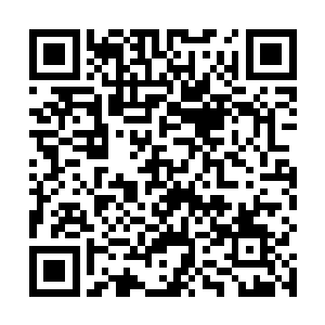 但那一腿上所蕴含的可怕罡风和力量却还是波及到了他二维码生成