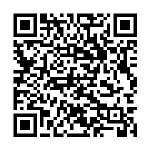 但那几个已经被彻底激怒的华夏青年还是照样上了二维码生成