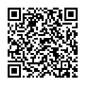 但那必须是把我干掉或者能确认我没有任何反抗能力之后的事情二维码生成