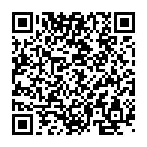 但那新皮肤面积相对于因烫伤而整个脱皮的背部而言可以忽略不计二维码生成