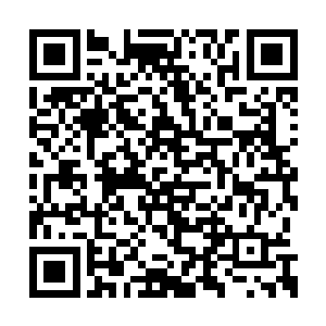 但问题是现在已经到了给与丁羽一击致命的机会二维码生成