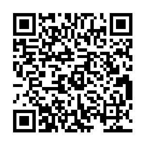 但阿尼亚还是感觉到了一股冷气瞬间从她的脊椎骨位置升起二维码生成