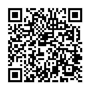 但陈招娣所买的户口和普通的城市居民户口还有所区别二维码生成