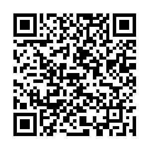 低声将这两天发生的事情巨细无遗的禀告给墨修尧二维码生成