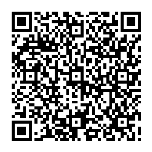 住手好一个心狠手辣的小兔崽子身萧家之人竟然如此歹毒残杀同族之人今天留你不得二维码生成