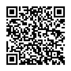 体内充满经脉得真气分出一拇指粗汇聚到手掌上二维码生成