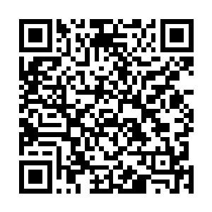 体内的经脉在经过夜染这神奇的药浴之后已经恢复了大半二维码生成