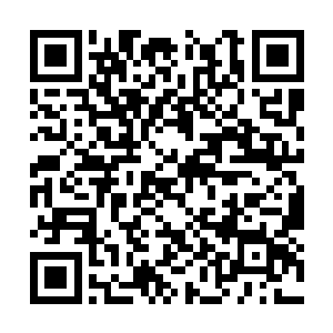体内的血液无可避免的成分会出现一些细微的变化二维码生成