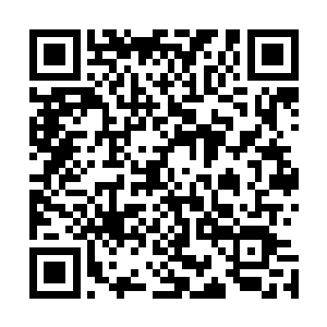 何况刚才她感觉到了周狼教给她的内功心法和拳术无比神妙二维码生成