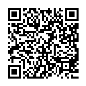 何况王家小娘子和方家小哥儿都是相貌出色到十里八乡罕有的二维码生成