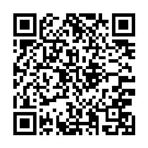 何况穆根一家人从来都是顽强地宛如穆根草一般的一家人二维码生成