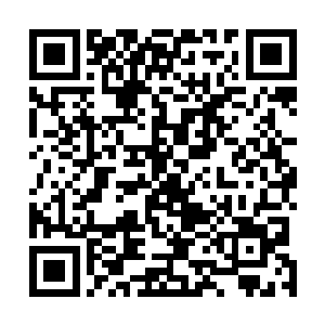 何况这充满了眼球的血湖一看起来就决计不是什么好地方二维码生成