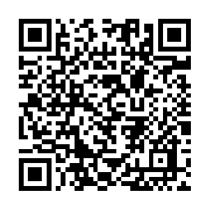 何况那两三位很久没生意开张便格外感激涕零的姑娘二维码生成