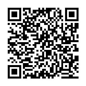 何振华在发现这一点的时候何书蔓已经嫁给江迟聿了二维码生成