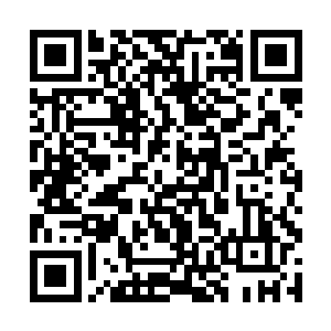 何鑫与叶雪在门外看到就是晏晨抱着手机睡觉的一幕二维码生成