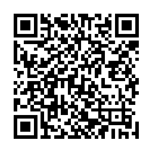 余下的那些修士依旧还没有清醒过来・只不过不在彼此争斗二维码生成