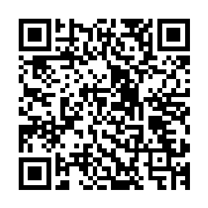 余姨娘和陆姨娘都送了自己做的小袄或者是孩子的肚兜和袜子二维码生成