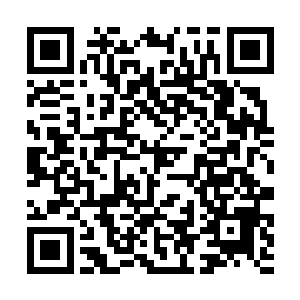 余建勇不可能仅仅只是因为这件事就跟秦家结下仇怨二维码生成