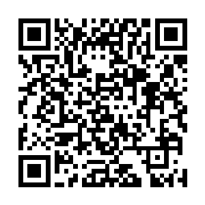 余建勇颤颤巍巍地从口袋里掏出一张折叠得皱巴巴的支票二维码生成