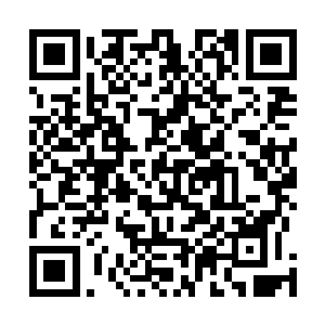 余晓佳正在企业号舰桥看着空战甲机群与召唤兽们的战斗二维码生成