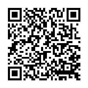 作为一个刚刚量变引发质变被彻底拨动心弦的女孩子二维码生成