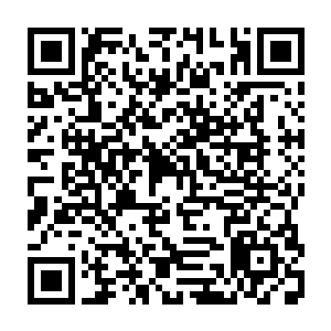 作为一件存在了不知道多少年的混沌至宝当然知道这个混沌法则代表着什么东西二维码生成
