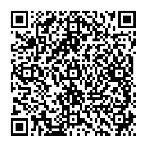 作为主要负责党代会筹备的市委副书记的杨卫杰和组织部长苗一岚以及纪委书记郝明建都是有责任的二维码生成
