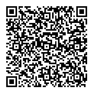 作为当事人的蔡晴和雷鹏并不清楚这个事情的……也就是雷鹏糅合了雷家熊拳和天池派长白冰掌从而实力暴涨的那个时候二维码生成