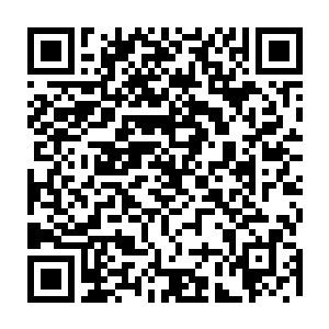 作为精神体存在的小花却很清楚出现在主人操控舱中的那个圆球是什么存在二维码生成