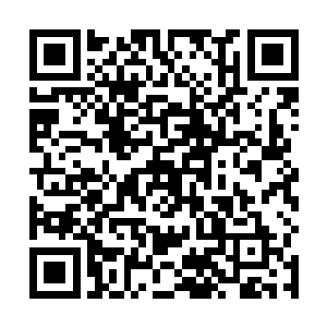 作为荷官的那个冷冽男人简单的介绍了一下本局的玩法二维码生成