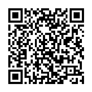 你一个边境小城出身的乡巴佬凭什么能得到小公主的青睐二维码生成