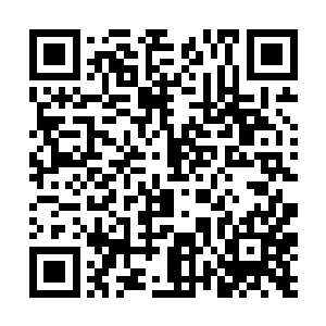 你一定已经知道了我们魔裔家族图谱传承的秘密了吧二维码生成