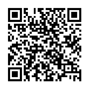 你不会天真到以为用一把小口径手枪就可以打穿我的钢板吧二维码生成