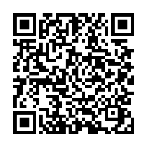 你不会知道当你出现在机舱门口时我的心里是多么的感动二维码生成